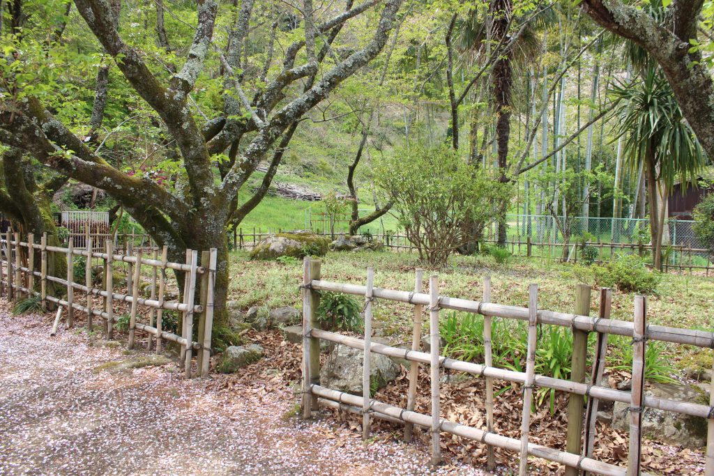 願成就院　南塔跡