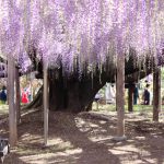 Thumbnail of related posts 153