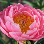 Thumbnail of related posts 080