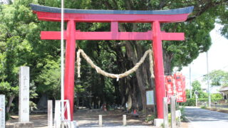 Thumbnail of post image 176