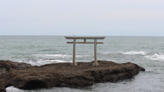 Thumbnail of post image 135