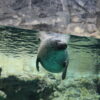 Thumbnail of related posts 034