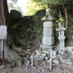 Thumbnail of post image 120