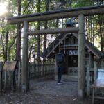 Thumbnail of post image 153