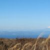 Thumbnail of related posts 076