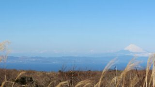 Thumbnail of post image 046
