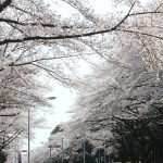 Thumbnail of related posts 076