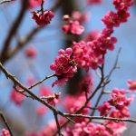Thumbnail of related posts 039