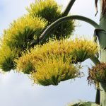 Thumbnail of related posts 082