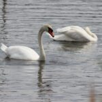 Thumbnail of post image 159