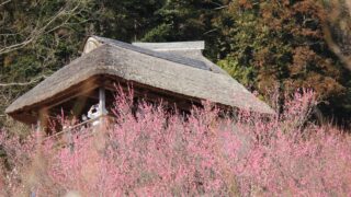 Thumbnail of post image 173