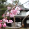 Thumbnail of related posts 055