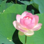 Thumbnail of post image 173