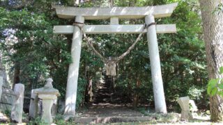 Thumbnail of post image 109