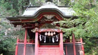 Thumbnail of post image 077
