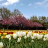 Thumbnail of related posts 040