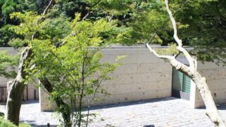 Thumbnail of post image 044