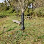 Thumbnail of post image 049