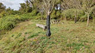 Thumbnail of post image 139