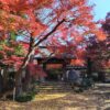 Thumbnail of related posts 150