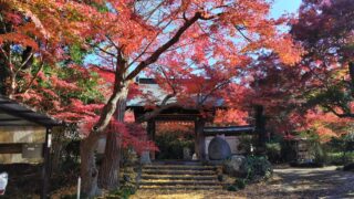Thumbnail of post image 037