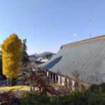 Thumbnail of post image 166