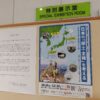 Thumbnail of related posts 049