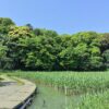 Thumbnail of related posts 110