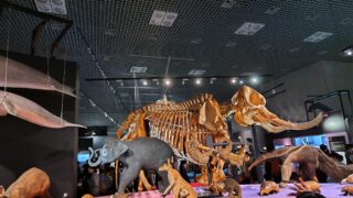Thumbnail of post image 021