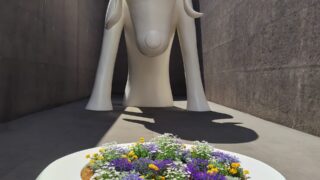 Thumbnail of post image 153