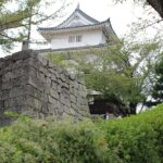 Thumbnail of post image 099