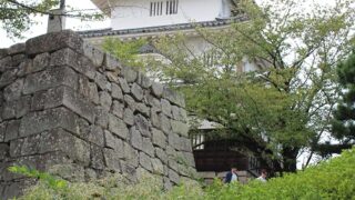 Thumbnail of post image 118