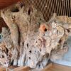 Thumbnail of related posts 113