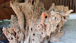 Thumbnail of post image 085