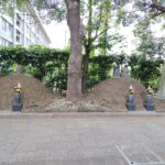 Thumbnail of post image 135