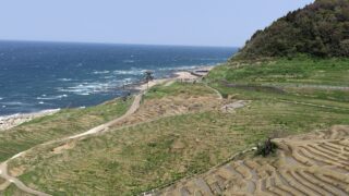 Thumbnail of post image 107
