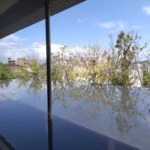 Thumbnail of post image 162