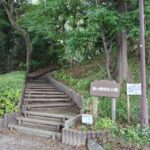 Thumbnail of post image 198