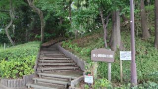 Thumbnail of post image 006