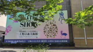 Thumbnail of post image 197