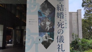 Thumbnail of post image 031