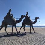 Thumbnail of post image 075