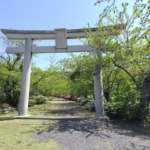 Thumbnail of post image 104