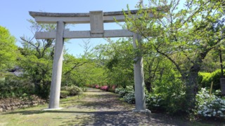 Thumbnail of post image 127